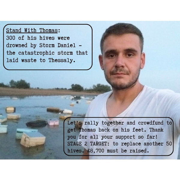 A message from Thomas following the terrible storm that drowned his hives.