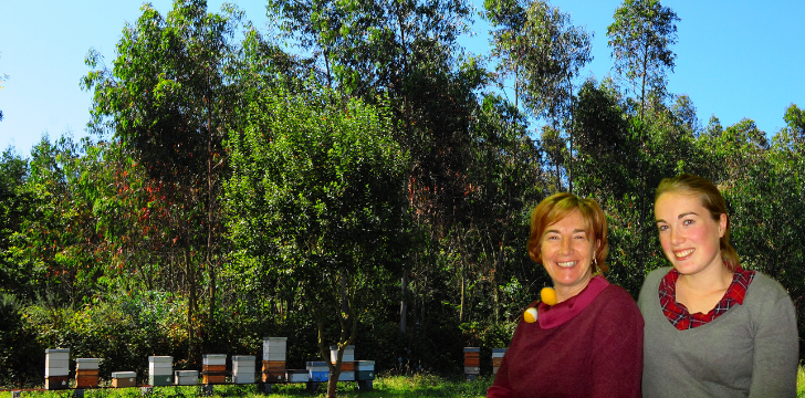 Raw Creamed Honey From Luisa & Olaya