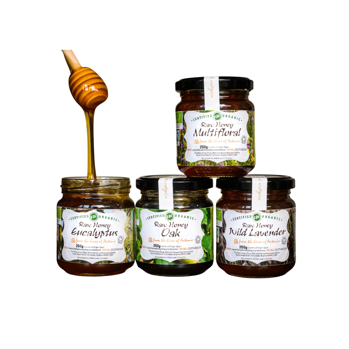 Four jars of honey with labels on a white background