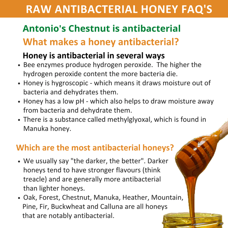 Raw Organic Forest Honey - 20kg