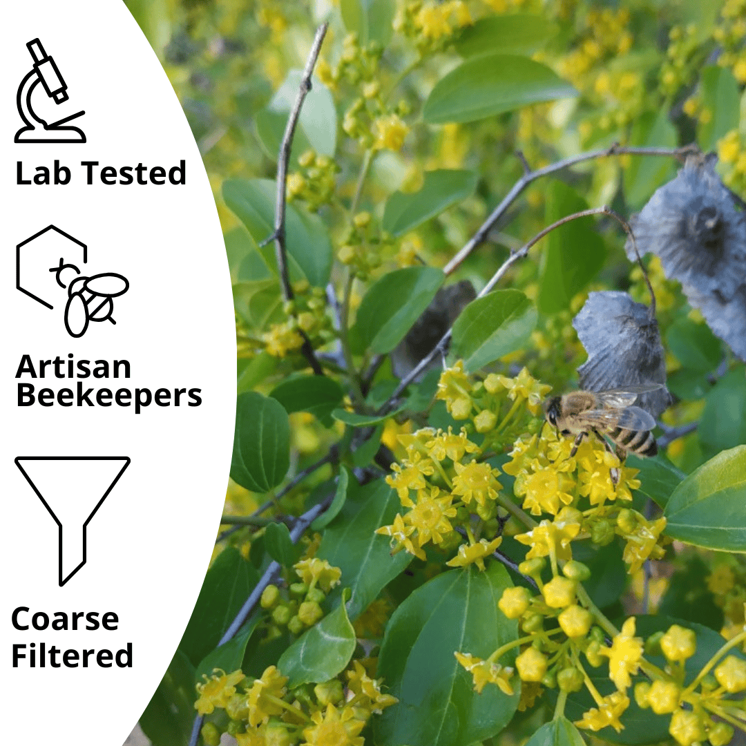 A close-up photo of a bee on yellow flowers and green leaves, with a white curved banner on the left containing icons and text reading 'Lab Tested,' 'Artisan Beekeepers,' and 'Coarse Filtered.'.