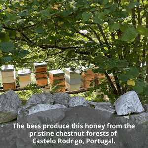A natural outdoor scene with several wooden beehives stacked under leafy green trees, with large gray rocks in the foreground and white text at the bottom reading, 'The bees produce this honey from the pristine chestnut forests of Castello Rodrigo, Portugal.'.