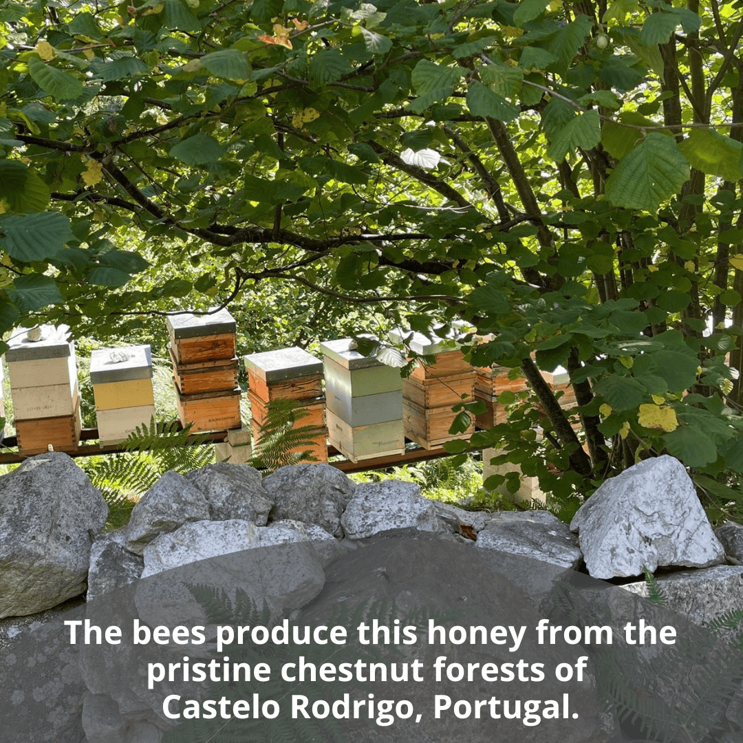 A natural outdoor scene with several wooden beehives stacked under leafy green trees, with large gray rocks in the foreground and white text at the bottom reading, 'The bees produce this honey from the pristine chestnut forests of Castello Rodrigo, Portugal.'.