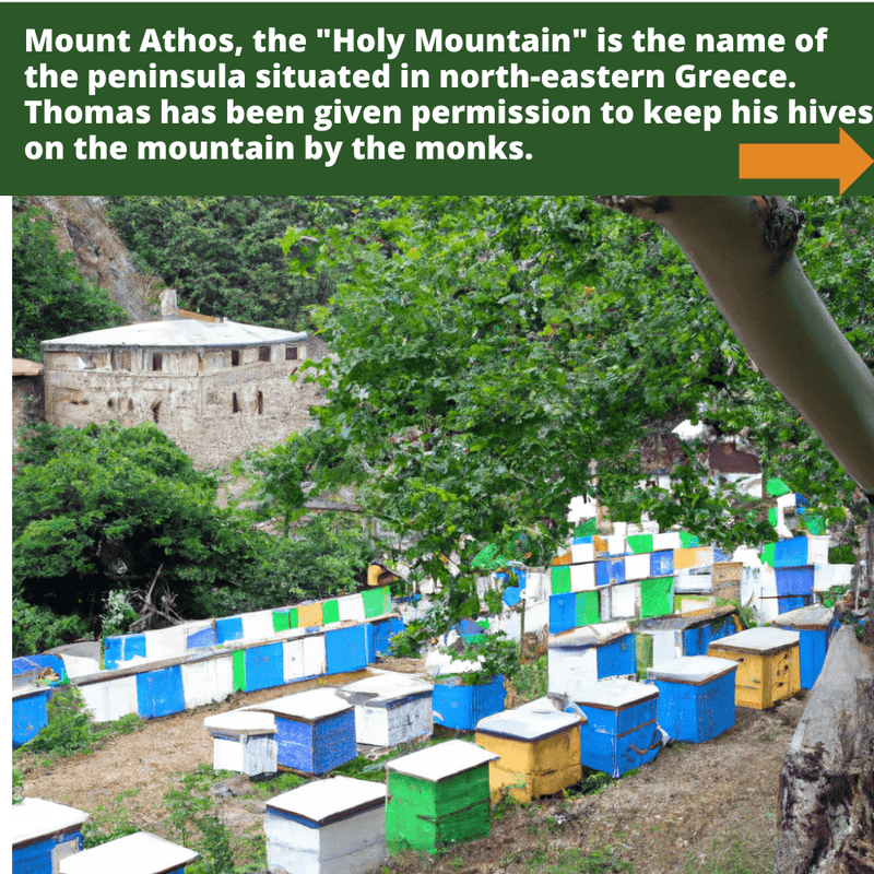 Håndværker rå økologisk græsk kastanjehonning fra munkene på Mount Athos - 1 kg/guldvinder/aktiv 21+ 