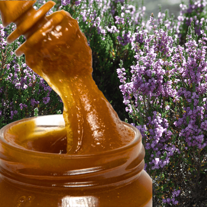 Miel de brezo cruda en crema - 500 g - Filtrada gruesa, sin pasteurizar y rica en enzimas