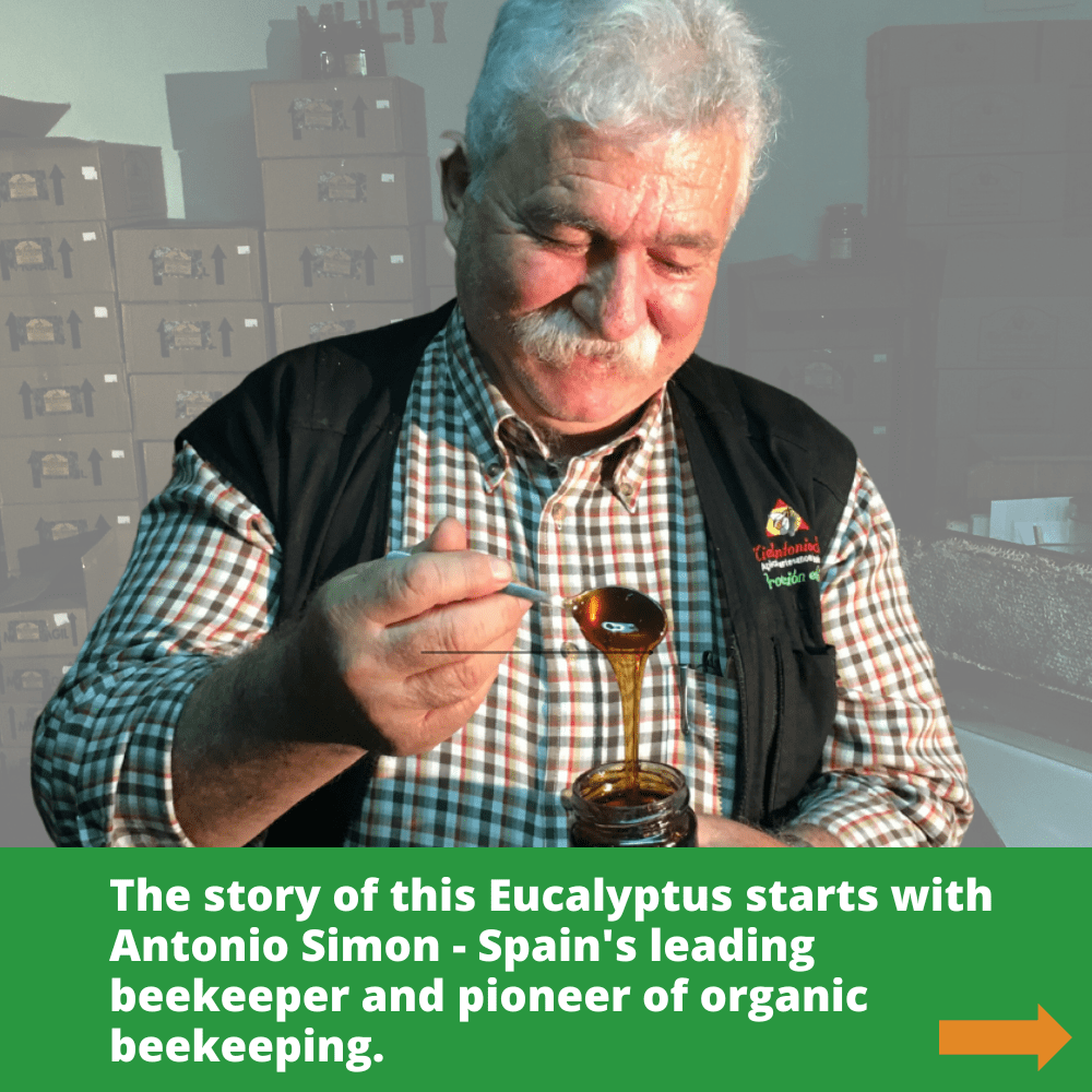Spanish beekeeper Antonio Simon smiling looking at a spoonful of dark eucalyptus honey dripping into glass honey jar