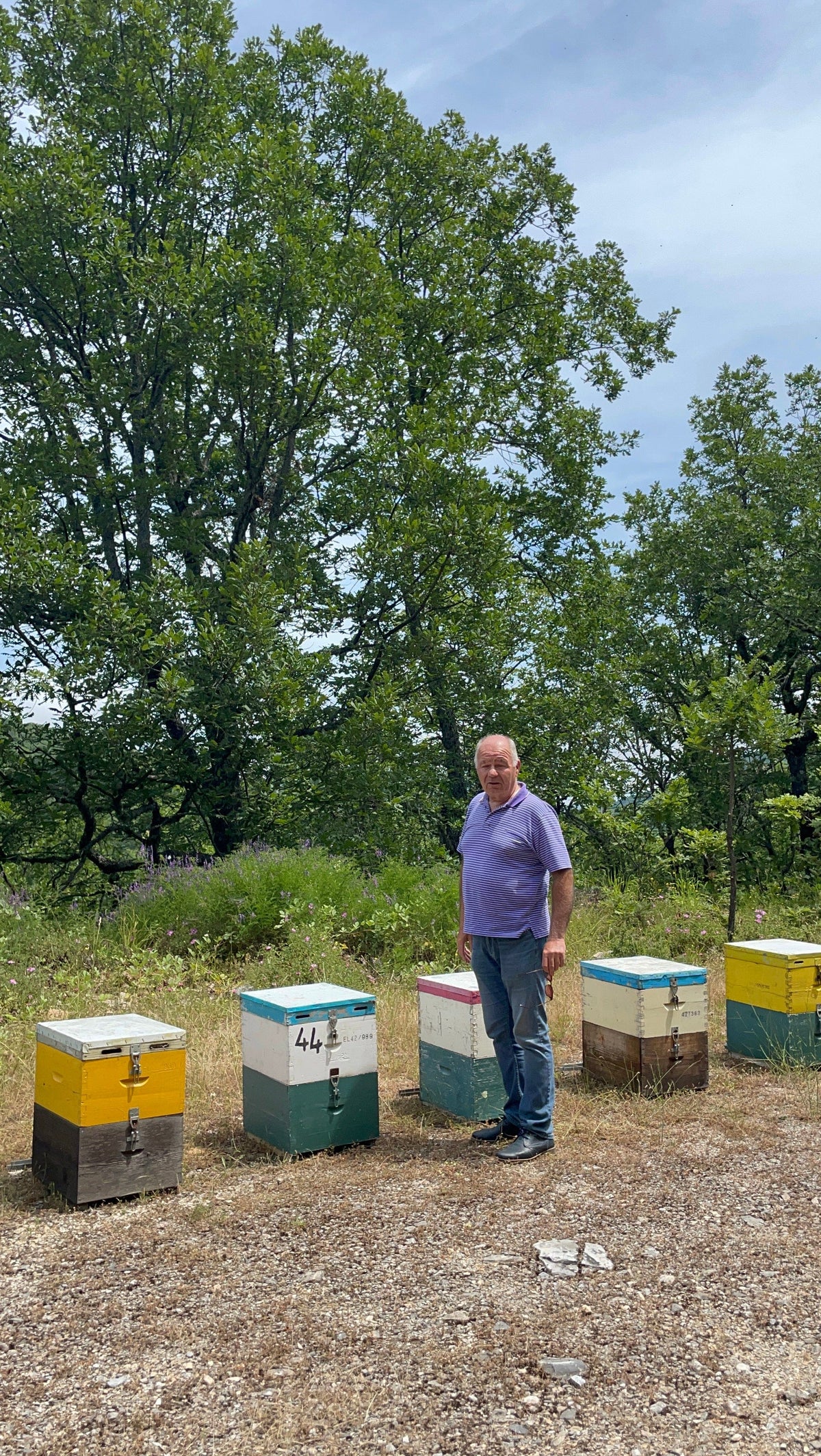 Beekeeper Kostas standing next to multicoloured beehives.