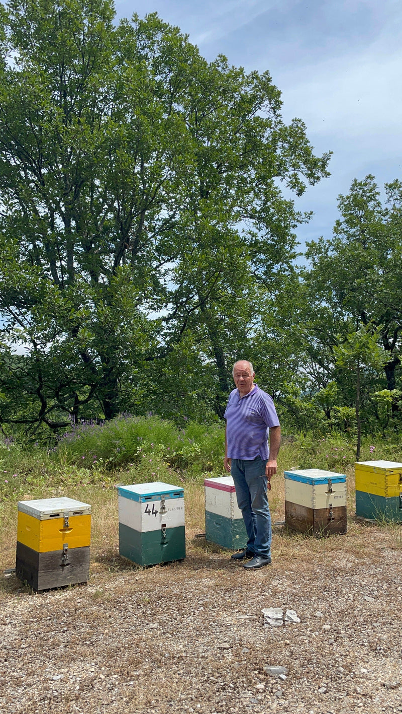 Raw Greek Organic Bioactive Forest Honey - 1kg/Active 23