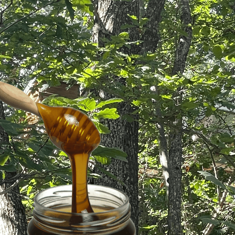 Miel de forêt brut - 960g - Pressé à froid, non pasteurisé, grossièrement filtré,
