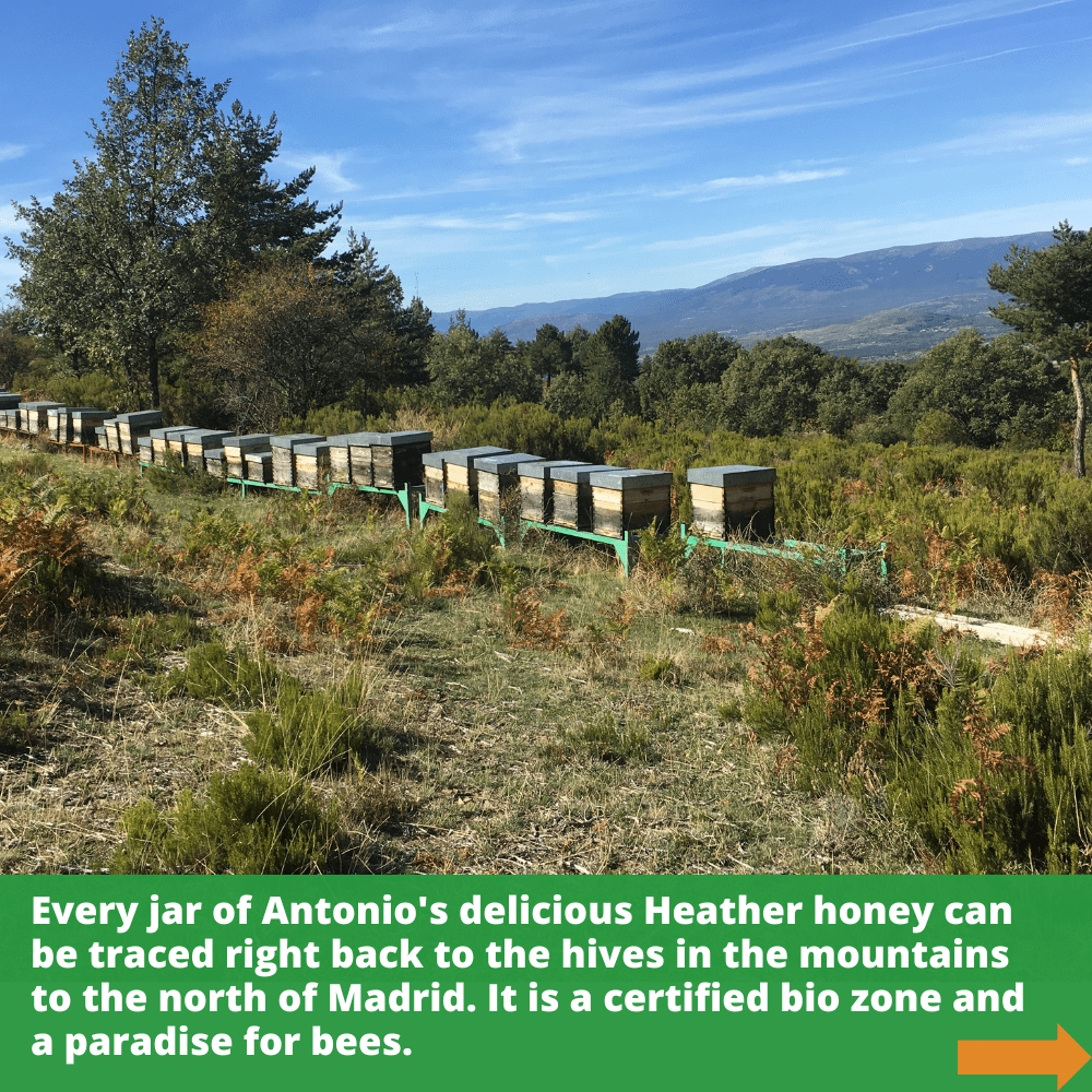 multiple bee hives amongst trees and shrubs in bio zone in the mountains to the north of Madrid