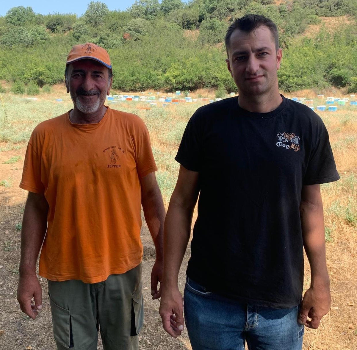 Beekeeper Dimitris on the right hand side of the photo in a black t-shirt.  His Father Kostas on the left in an orange t-shirt and cap.