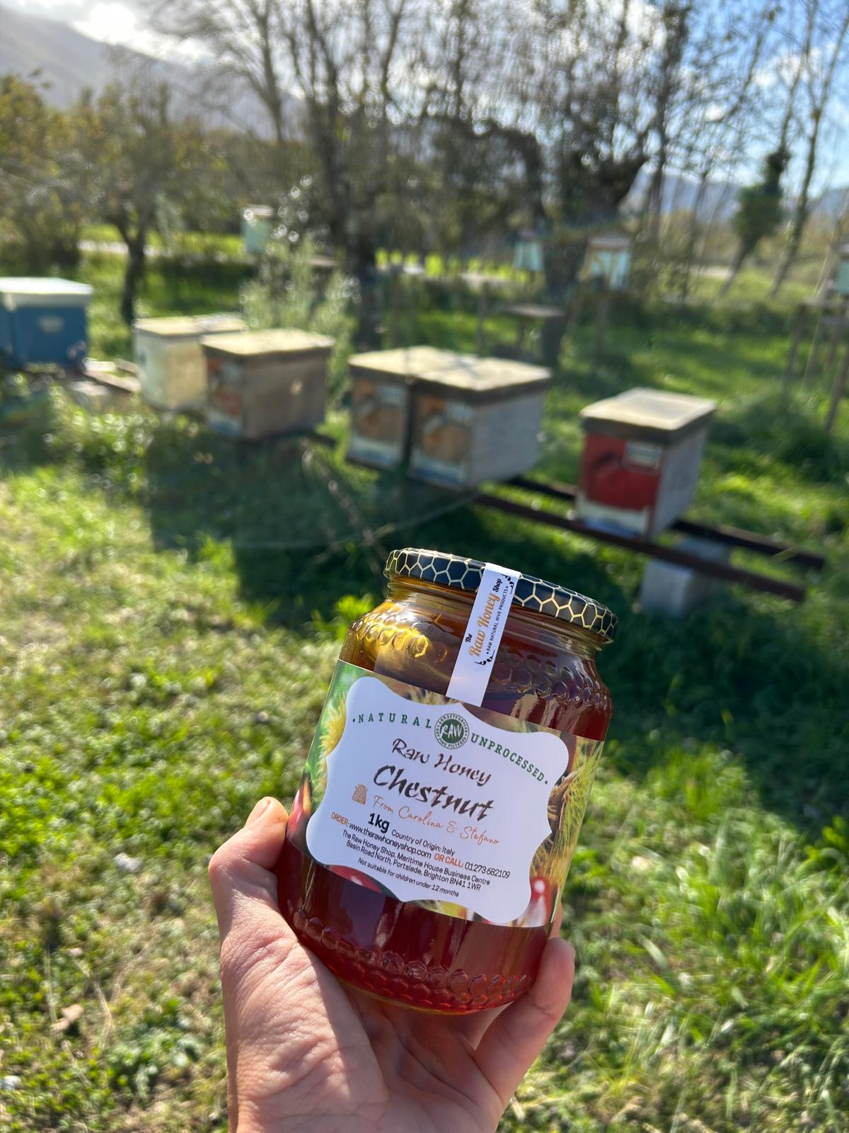 Hand holding a jar of chestnut honey with bee hives in the background