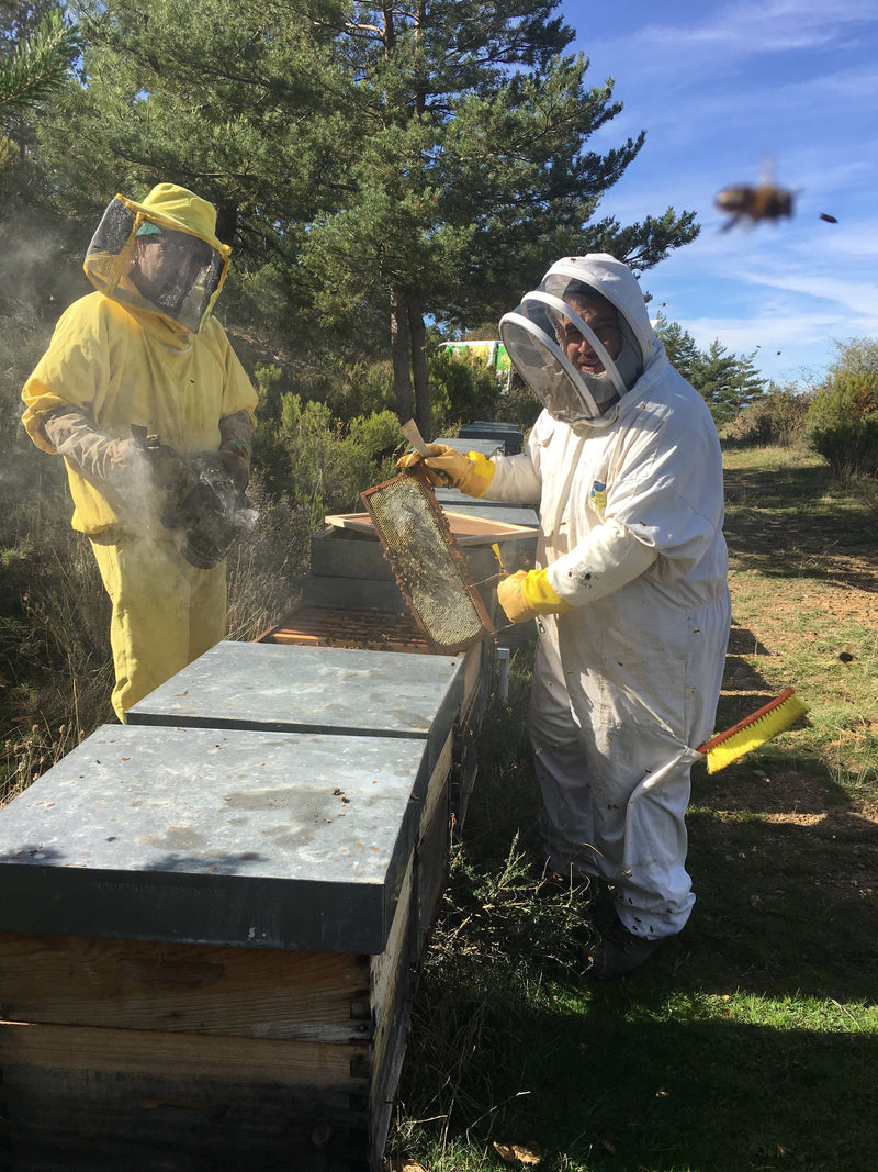 Fresh Raw Organic Multifloral Bee Pollen - 225g