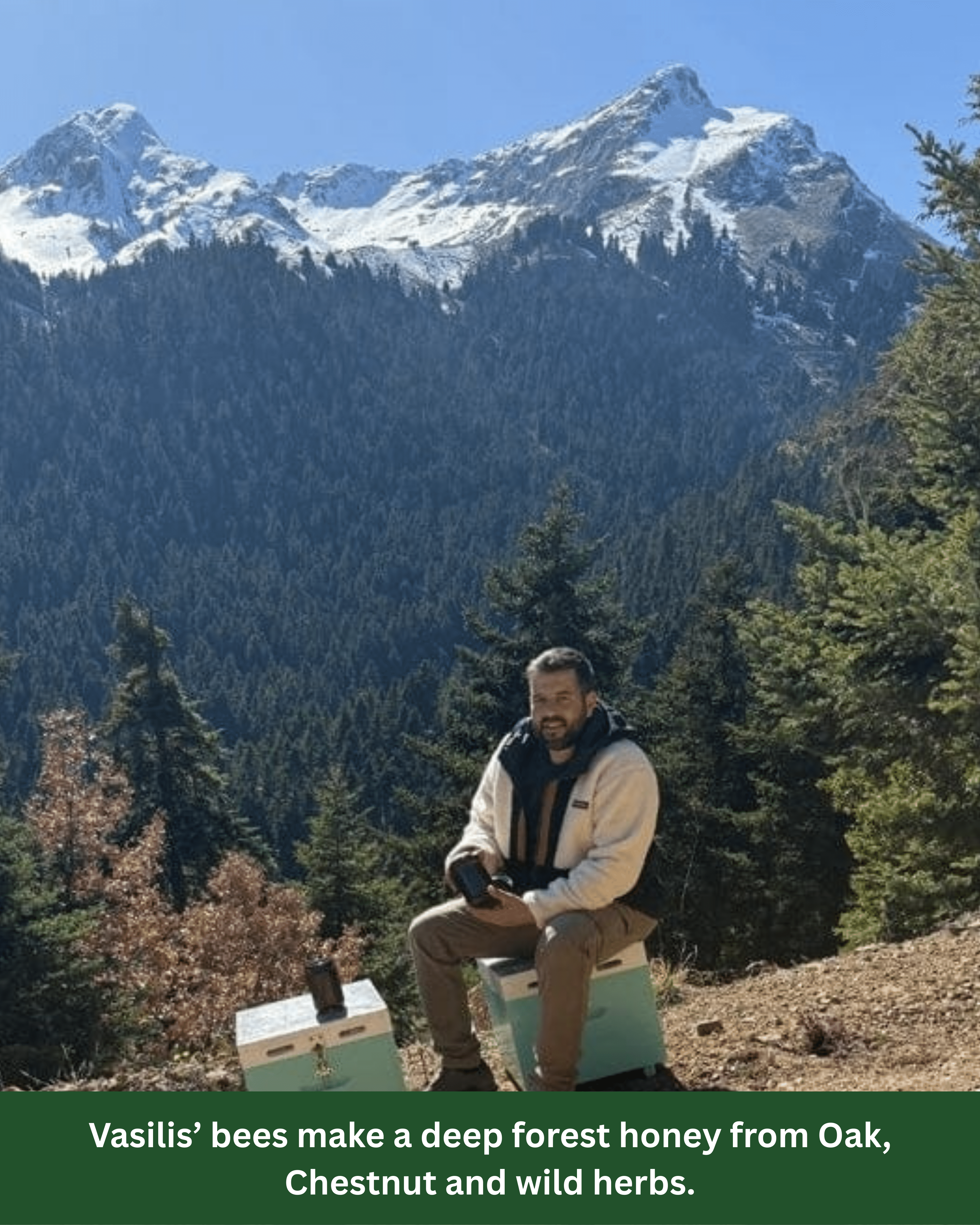 Beekeeper sitting on hives hives at Mount Helidona in Northern Greece.