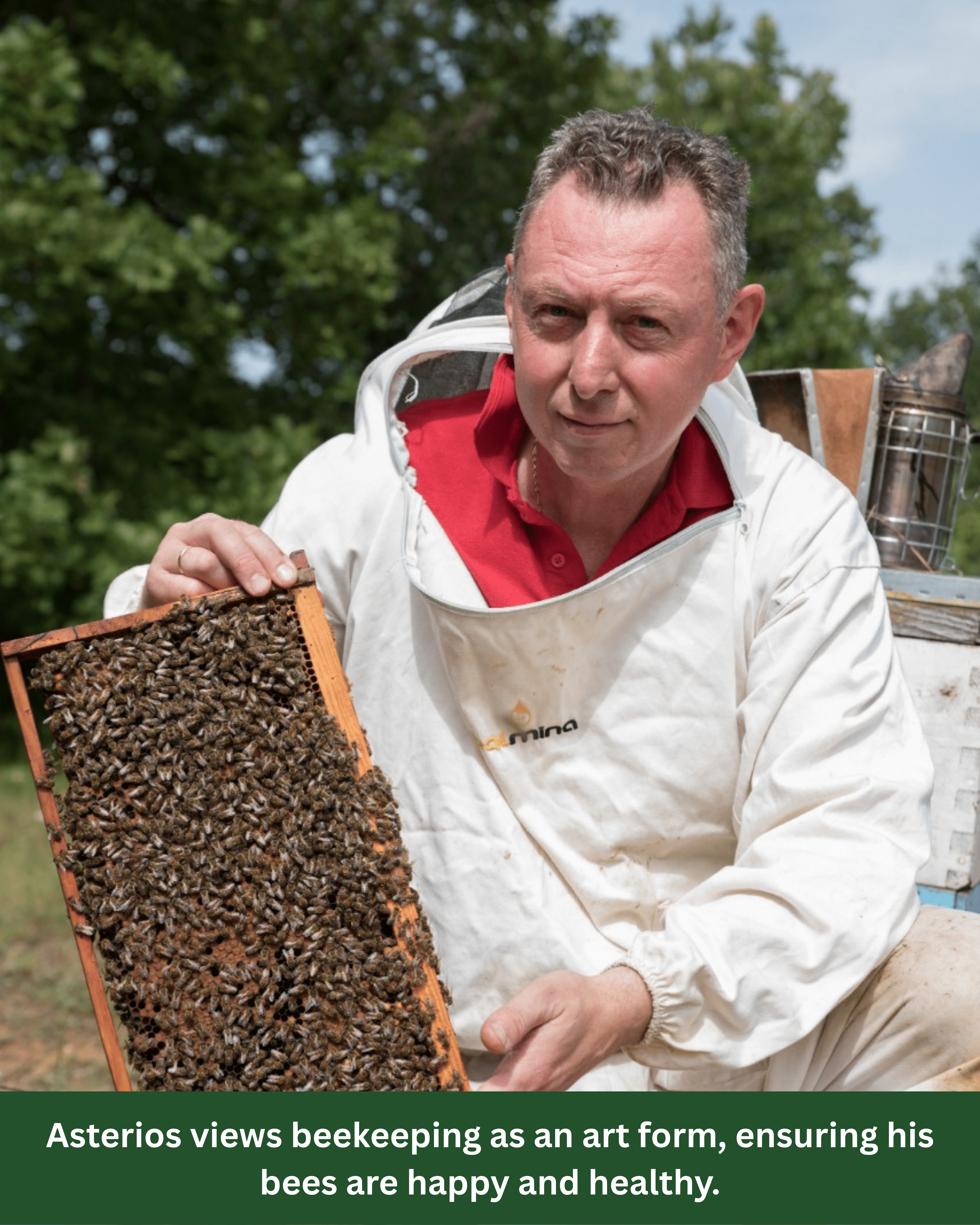 Greek beekeeper Asterios holding a frame covered in bees while tending to his hives.