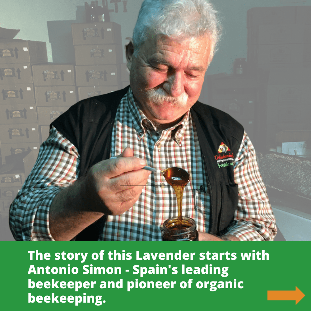 Spanish beekeeper Antonio Simon smiling looking at a spoonful of dark honey dripping into glass honey jar