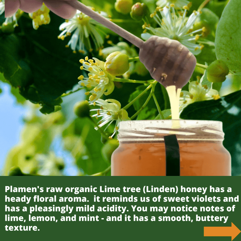 Raw Organic Lime Honey - 960g