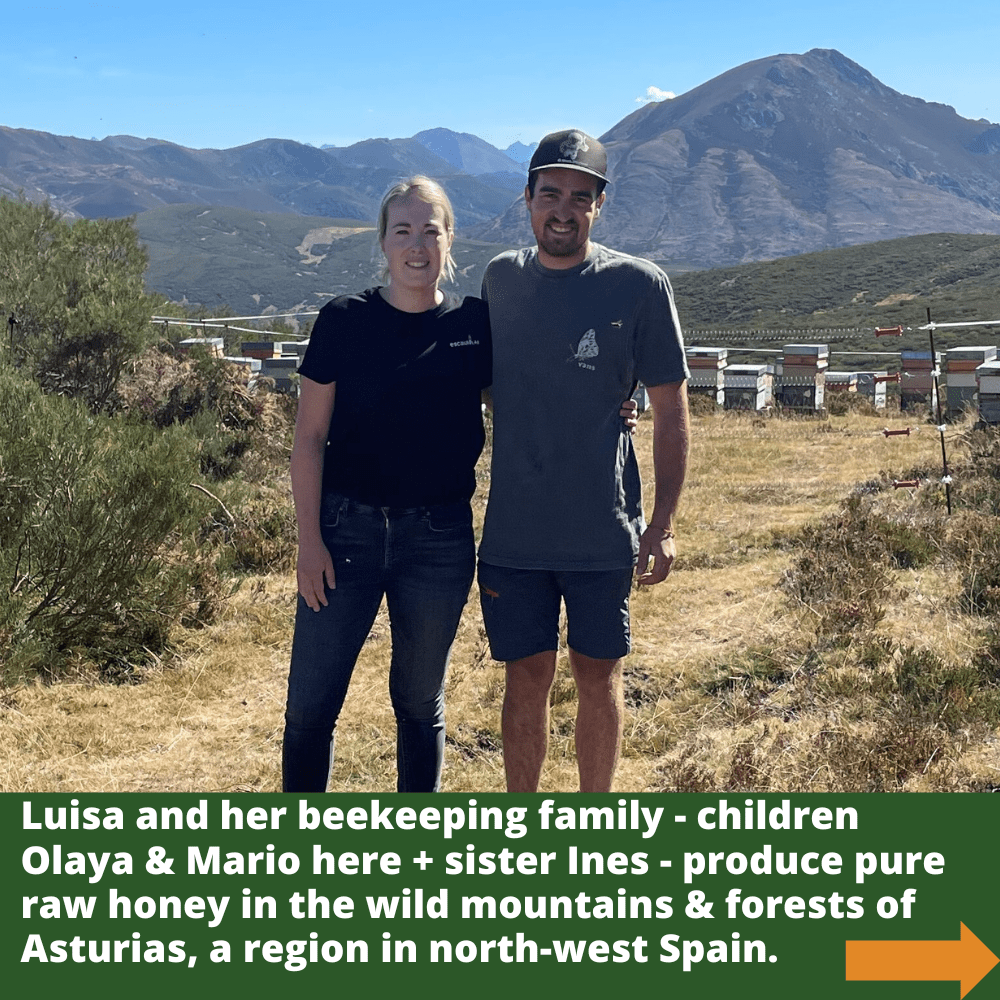 Beekeepers Olaya and Mario with multiple hives in mountainous area of Asturias, a region in north-west Spain.