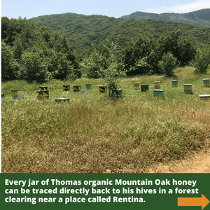 Greek Mountain scene with beehives