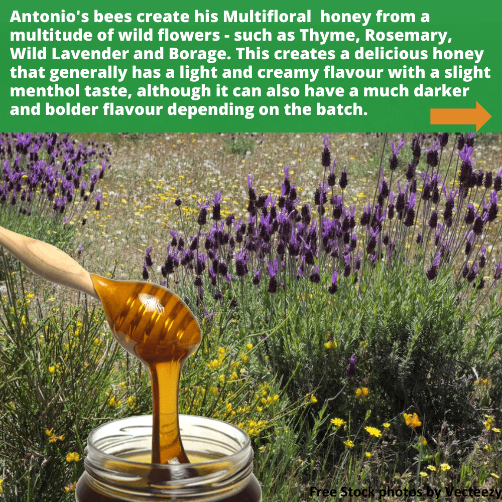 wooden honey dipper dripping into open glass honey jar, against background of lavender and wild flowers