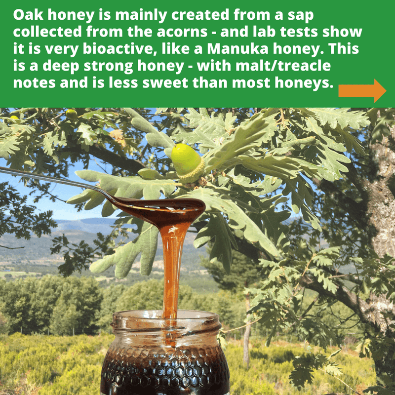 Raw Organic Oak Honey - 970g/Active 17 - with Jute Bag and Honey Dipper