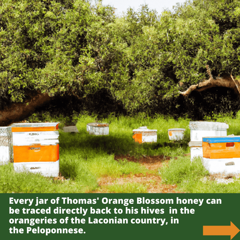 Artisan Raw Organic Greek Orange Blossom Honey - 1kg