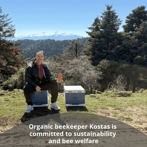 A man kneels outdoors on a grassy hill with mountains, trees, and water in the background, holding a phone next to two blue-and-white bee boxes. White text at the bottom reads, 'Organic beekeeper Kostas is committed to sustainability and bee welfare.