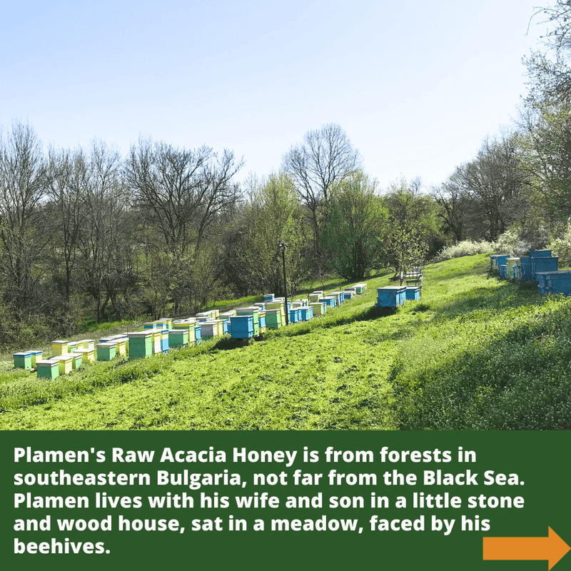 Raw Organic Acacia Honey - 500g