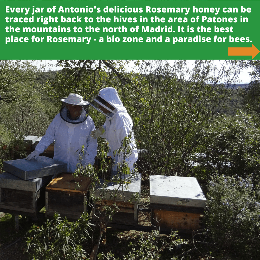 Two beekeepers in beekeeper suits with multiple bee hives in Patones, a mountain area to the north of Madrid.