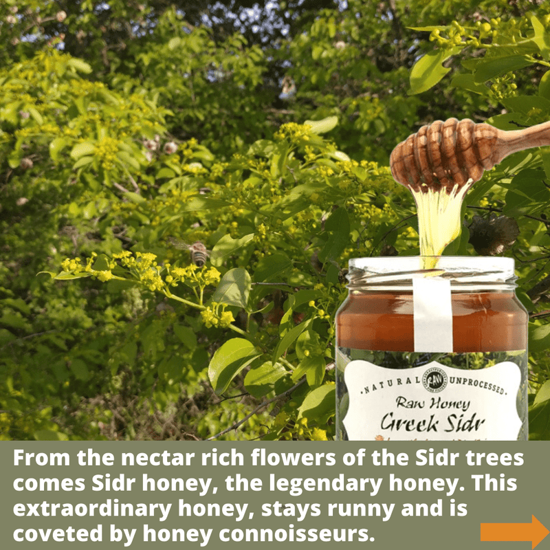 Greek Raw Sidr Honey - 1kg/Active 15