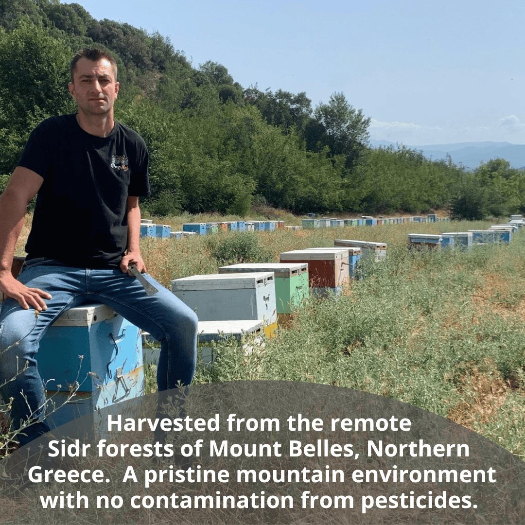 Beekeeper sitting on hives with forest in the background.