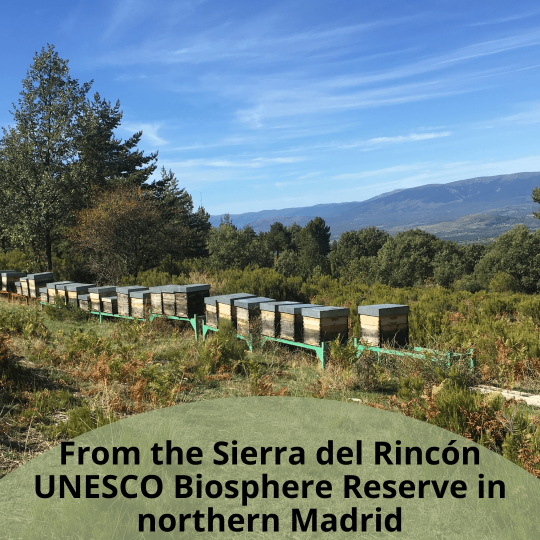 A scenic outdoor landscape with a row of wooden beehives on a grassy hillside, trees, mountains, and a blue sky. Large overlaid text at the bottom reads: 'From the Sierra del Rincón UNESCO Biosphere Reserve in northern Madrid'.
