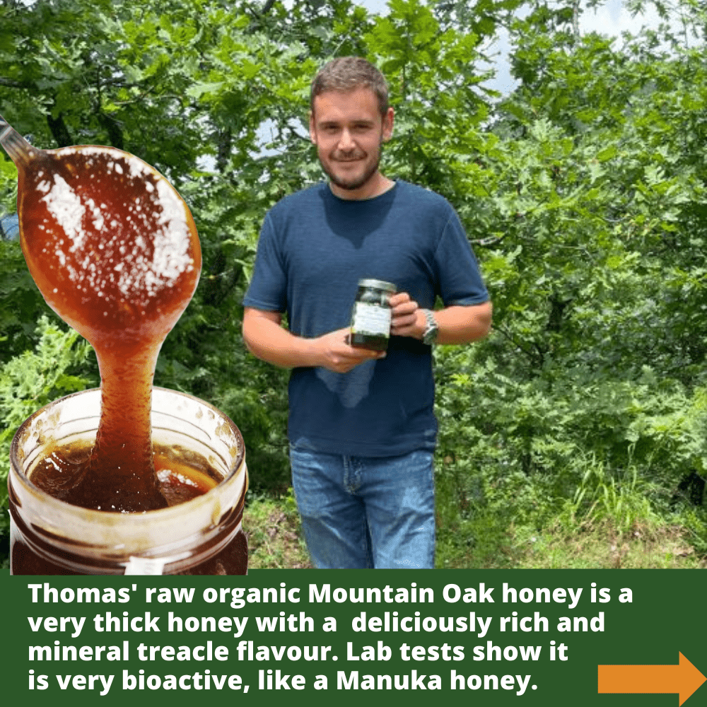 metal spoon of dark mountain oak honey dripping into open glass honey jar, with beekeeper Thomas holding jar of honey amongst oak trees.