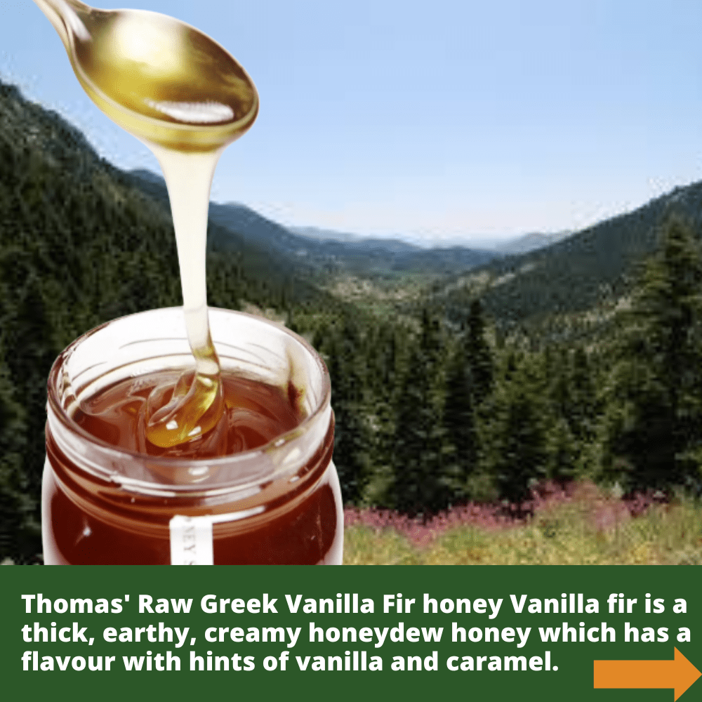 metal spoon of raw organic vanilla fir honey dripping into open glass honey jar, against background of fir trees.