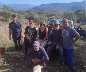 The team of pickers with Tim & Claire