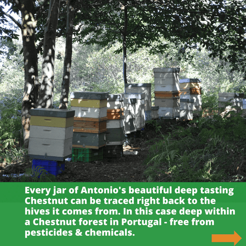 Raw Organic Chestnut Honey - 1kg - Certified Organic