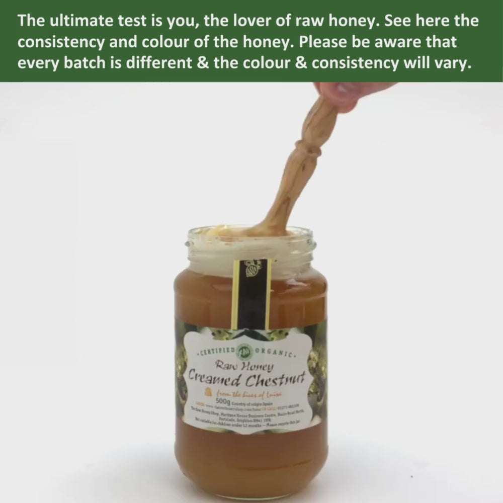 video of wooden honey dipper  dripping into an open jar of raw organic creamed chestnut honey