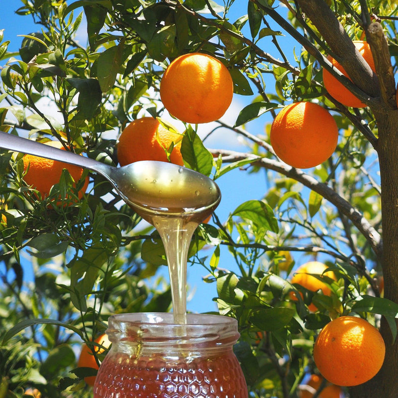 Antonio's Certified Organic Raw Orange Blossom Honey - 1kg