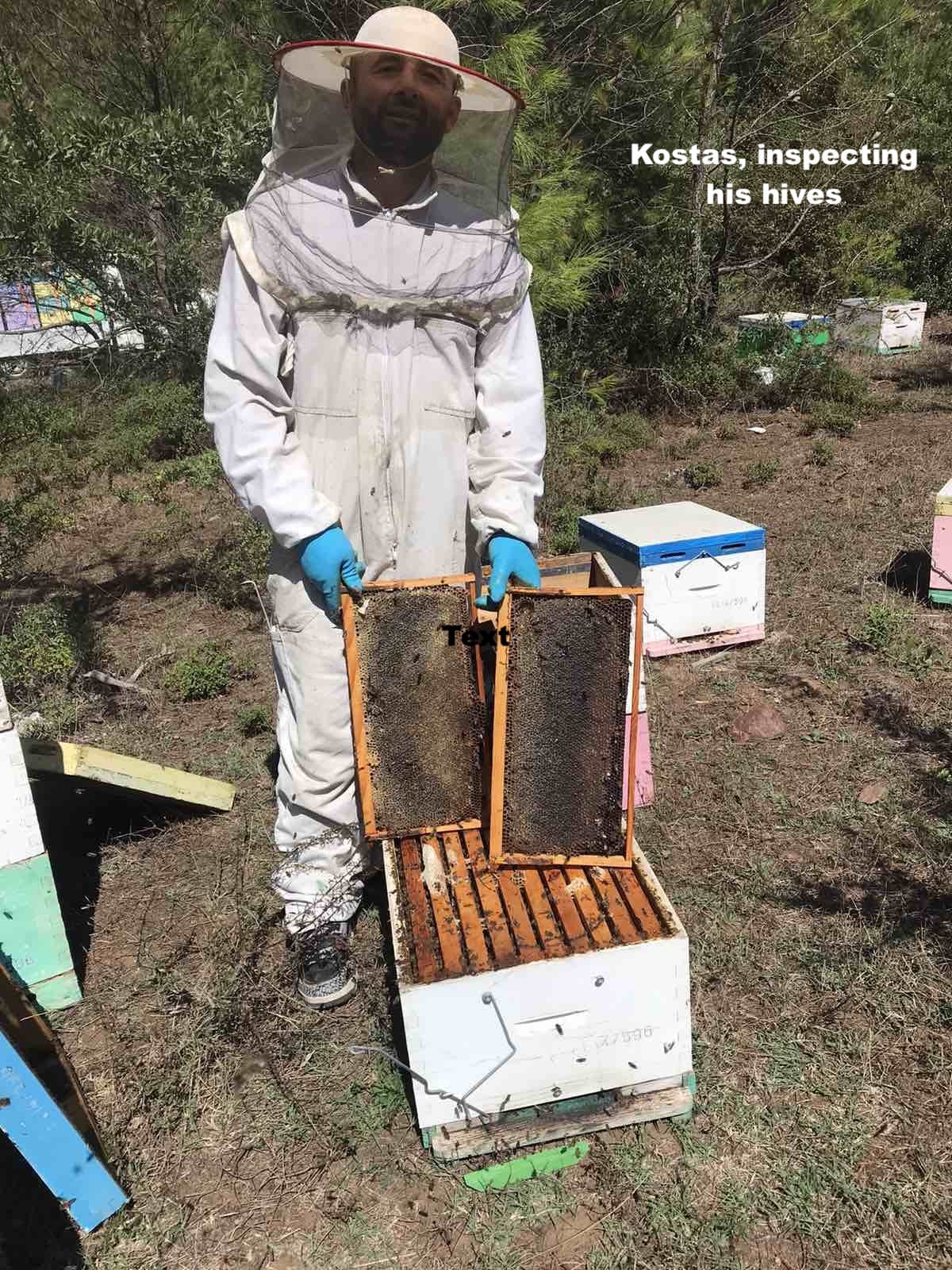 Kostas inspecting his hives