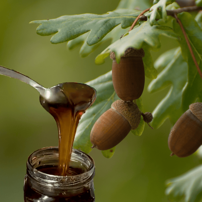 Artisan Raw Organic Greek Mountain Oak Honey - 5kg/Active 21.5