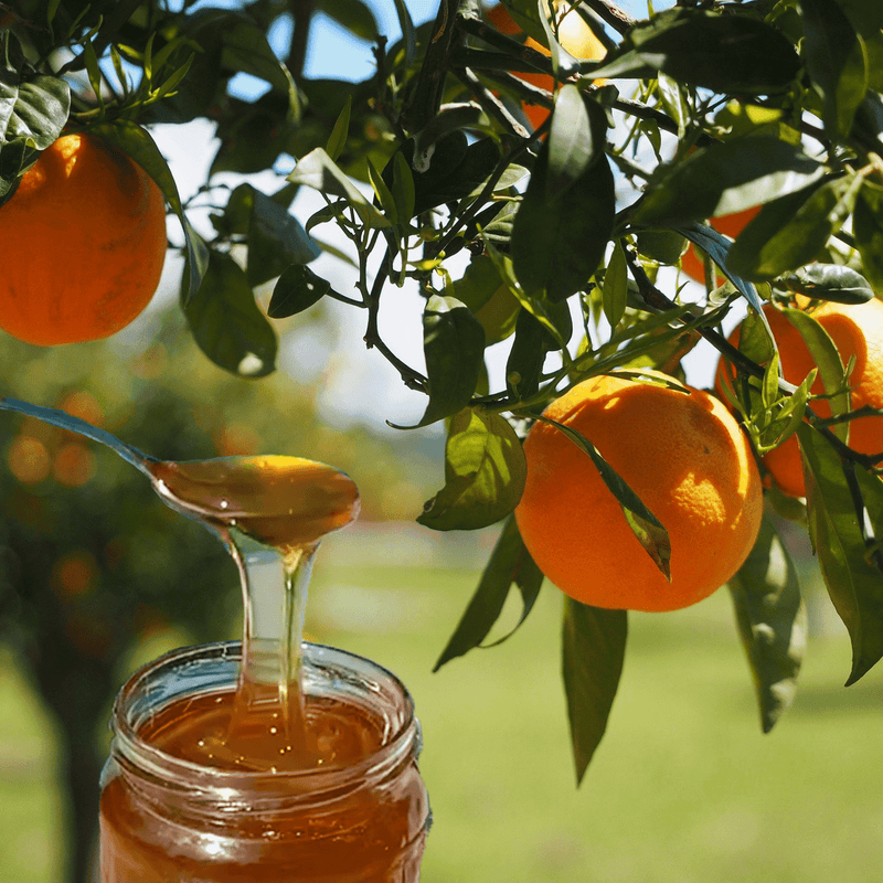 Artisan Raw, økologisk græsk appelsinblomsthonning i keramisk gryde - 500 g